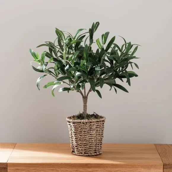 Small Artificial Olive Tree - Green, Woven Pot