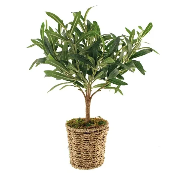 Small Artificial Olive Tree - Green, Woven Pot