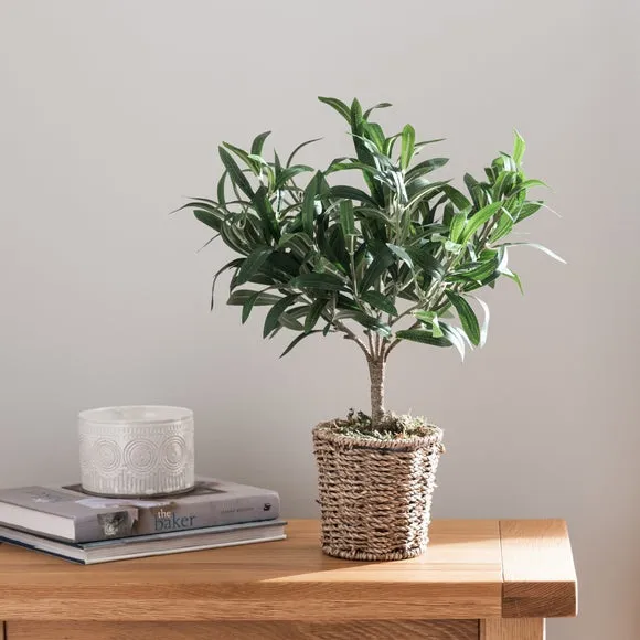 Small Artificial Olive Tree - Green, Woven Pot image