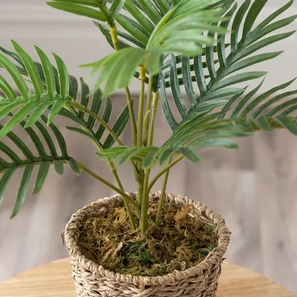 Small Palm Plant in Woven Pot - Green, Artificial