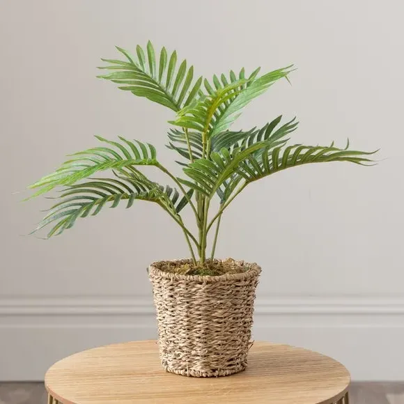 Small Palm Plant in Woven Pot - Green, Artificial