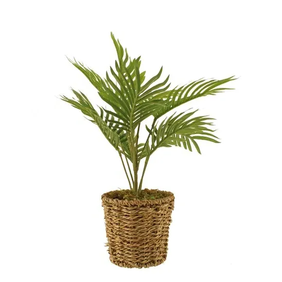 Small Palm Plant in Woven Pot - Green, Artificial