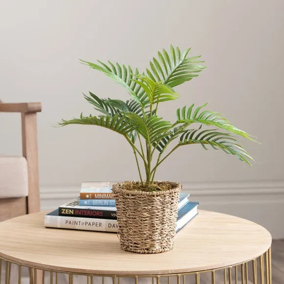Small Palm Plant in Woven Pot - Green, Artificial image