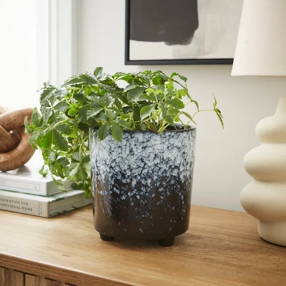Spotty Plant Pot - Blue, Ceramic