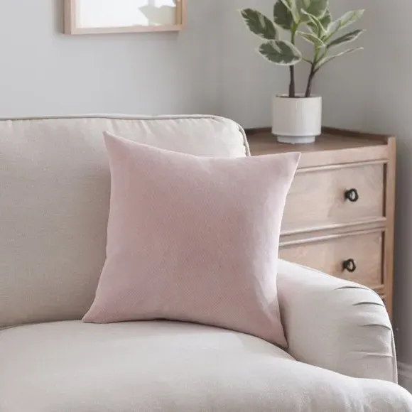 Square Cushion with Zip - Blush, Velour image