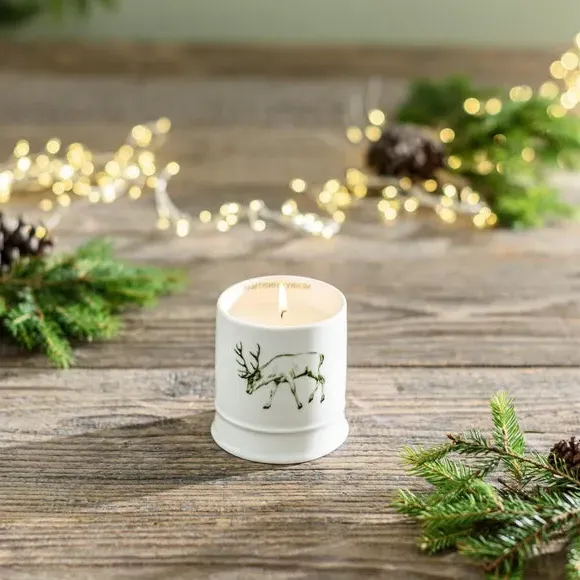 Stag Candle with Ceramic Jar - White, Ceramic image