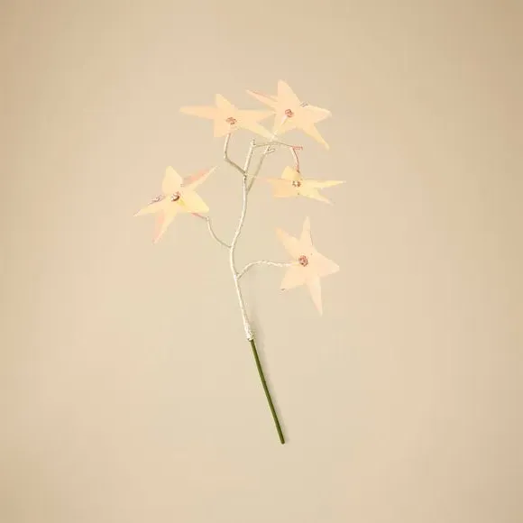 Star Decorations Bundle - Multicolor, Iridescent