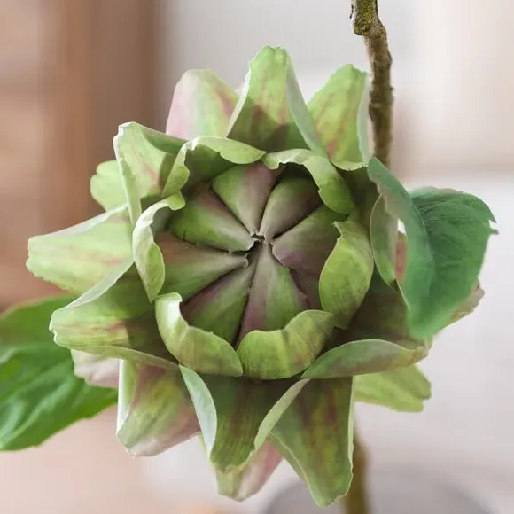 Star Shaped Artichoke Stem - Green, Plastic