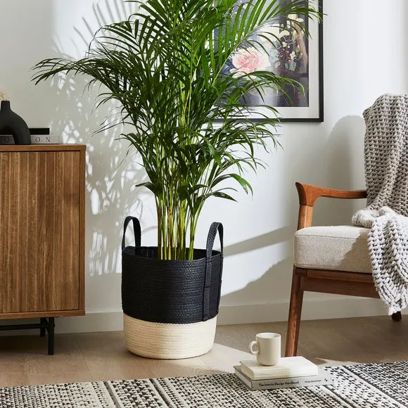 Storage Basket with Handles - Black