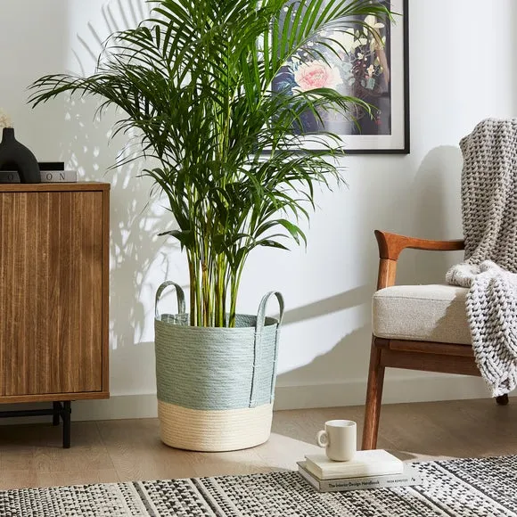 Storage Basket with Handles - Sage