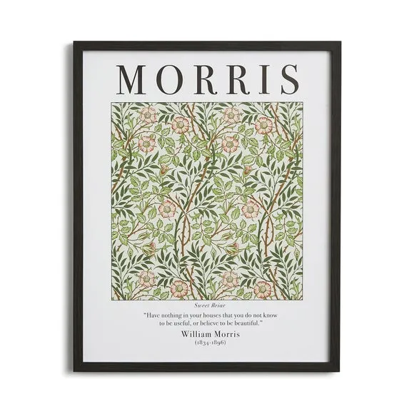 Sweet Briar Framed Print - Black Frame