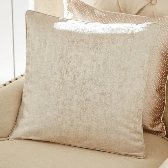 Textured Cushion with Piped Edge - Champagne image