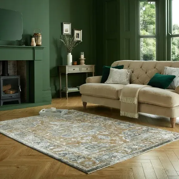 Traditional Rug with Distressed Pattern - Green