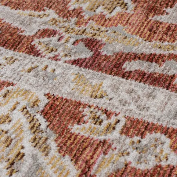 Traditional Rug with Distressed Pattern - Terracotta