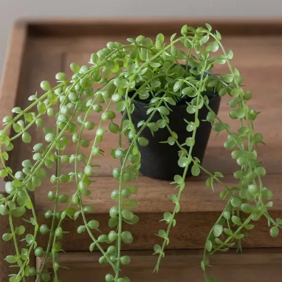 Trailing Artificial Plant - Green, Plastic