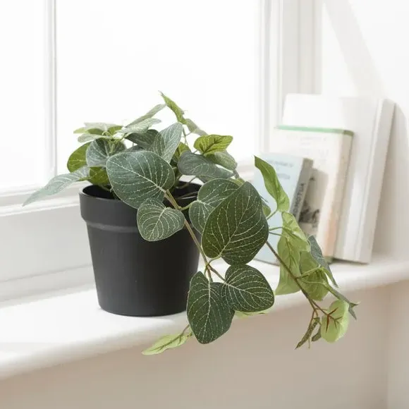 Trailing Artificial Plant - Green, Plastic Pot image