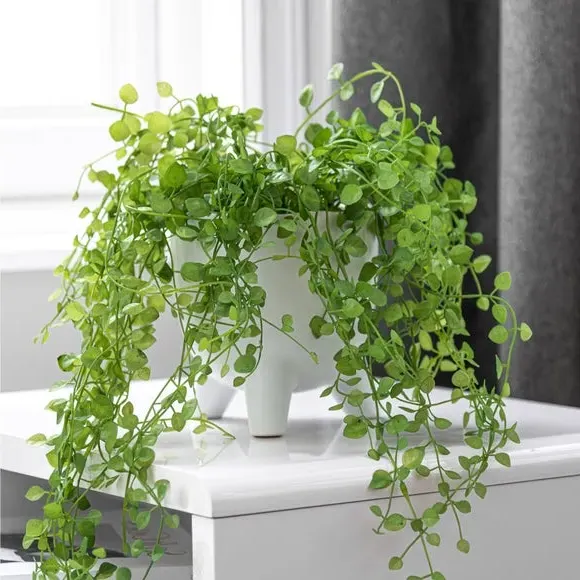 Trailing Artificial Plant - Green, White Pot