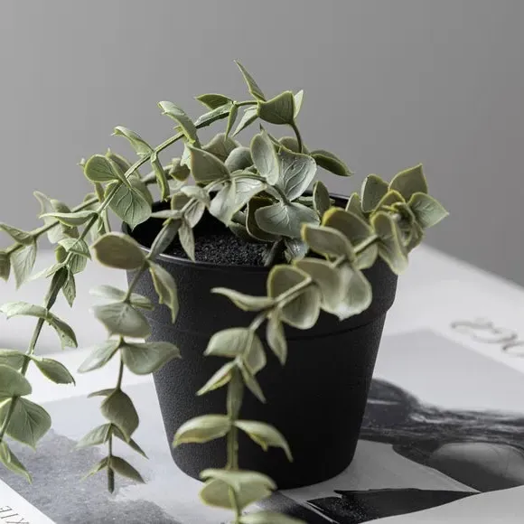 Trailing Eucalyptus Plant - Green, Artificial