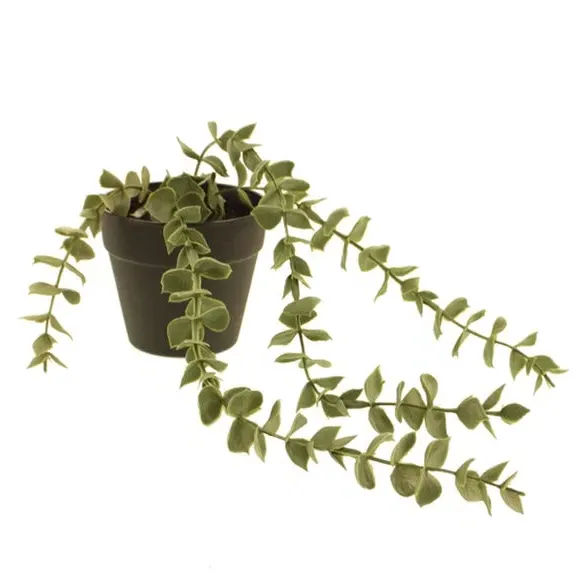 Trailing Eucalyptus Plant - Green, Artificial