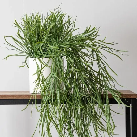 Trailing Grass Plant Pot - White, Ceramic