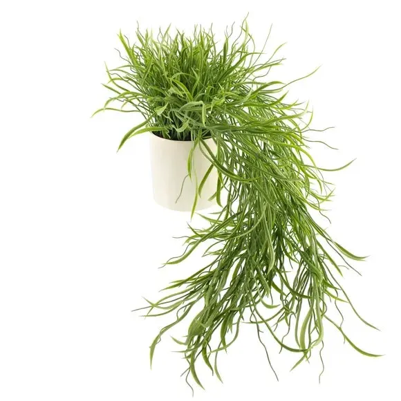 Trailing Grass Plant Pot - White, Ceramic