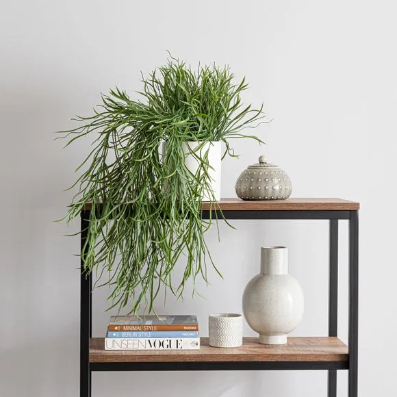 Trailing Grass Plant Pot - White, Ceramic image