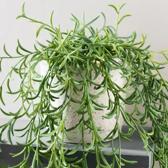 Trailing Plant Artificial - Green, White Pot