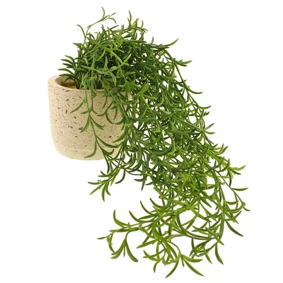Trailing Plant Artificial - Green, White Pot