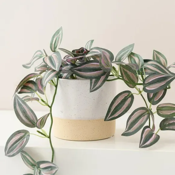 Trailing Plant in Pot - Natural, Ceramic