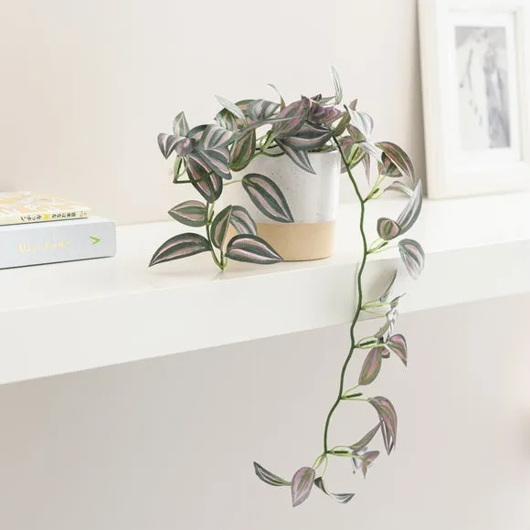 Trailing Plant in Pot - Natural, Ceramic image
