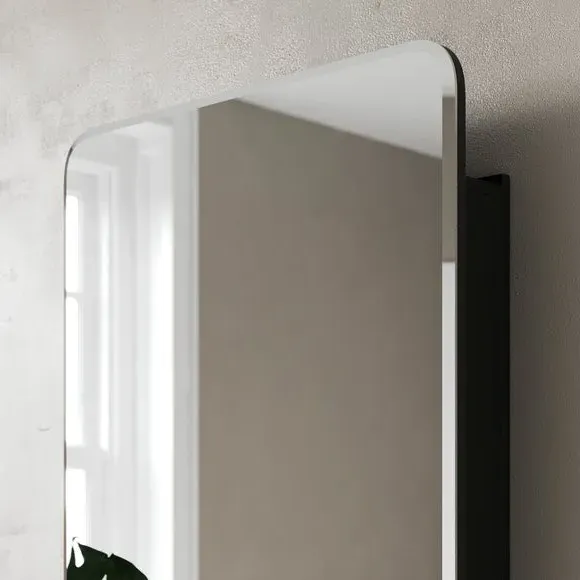 Wall Mirror Cabinet with Shelves - Black, Wood