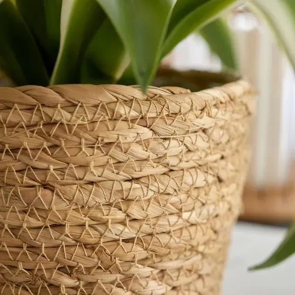 Woven Plant Pot - Natural, Rope