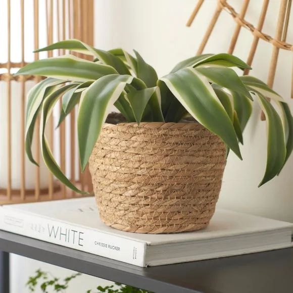 Woven Plant Pot - Natural, Rope image