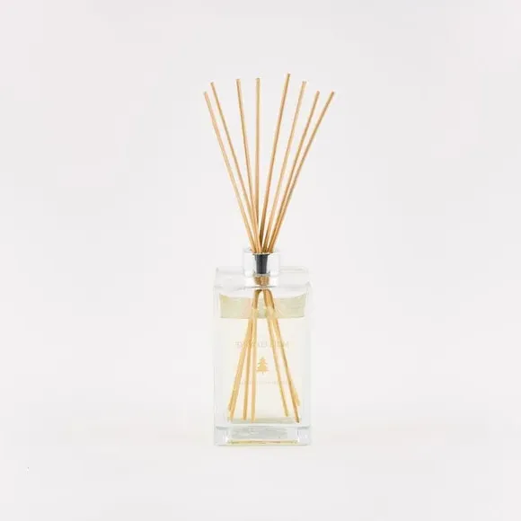 XL Reed Diffuser with 8 Reeds - Clear, Glass