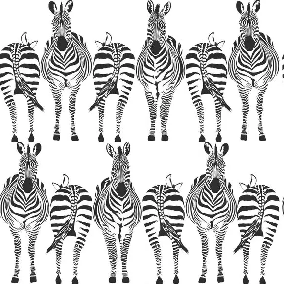 Zebra Print Wallpaper - Black/White, Paper