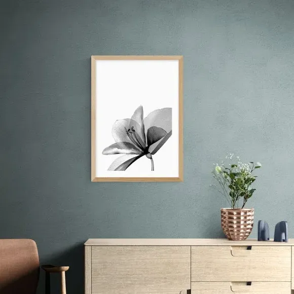 Amaryllis Floral Wall Print - Black