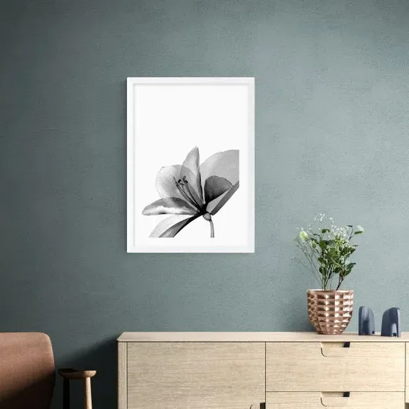 Amaryllis Floral Wall Print - Black