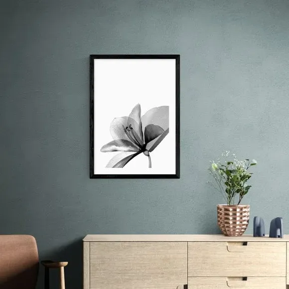 Amaryllis Floral Wall Print - Black