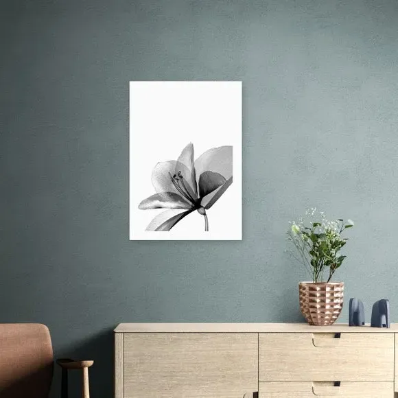 Amaryllis Floral Wall Print - Black image
