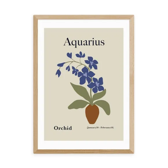 Aquarius Art Print - Sage, Archival Paper