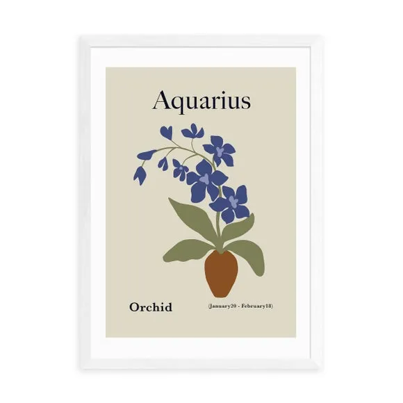 Aquarius Art Print - Sage, Archival Paper