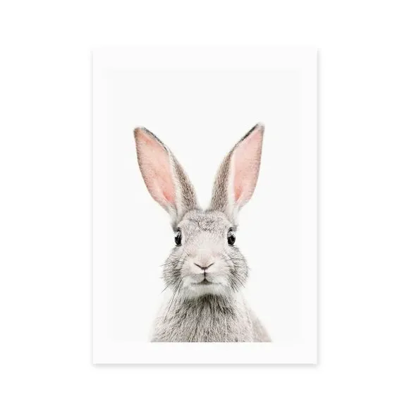 Baby Bunny Wall Print - White
