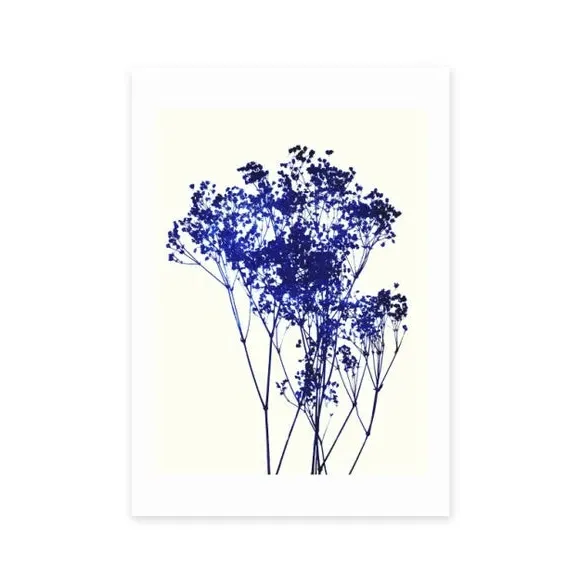 Baby's Breath Wall Print - Blue, Archival Paper image