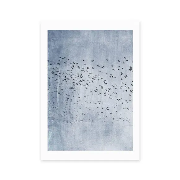 Bird Wall Print - Blue, Archival Paper