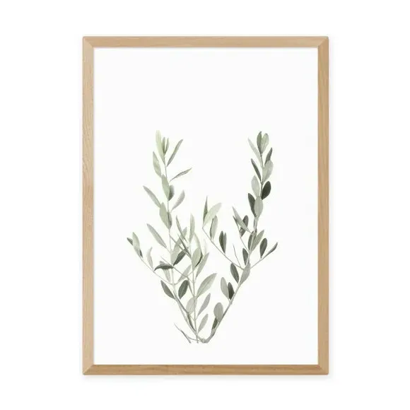Botanical Wall Print - Olive Branch - Green