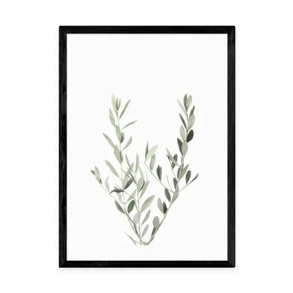 Botanical Wall Print - Olive Branch - Green