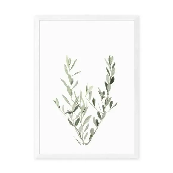 Botanical Wall Print - Olive Branch - Green