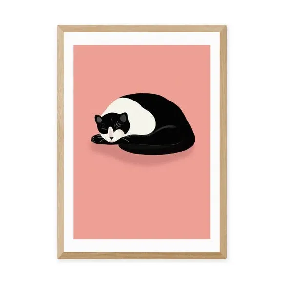 Cat Nap Art Print - Pink