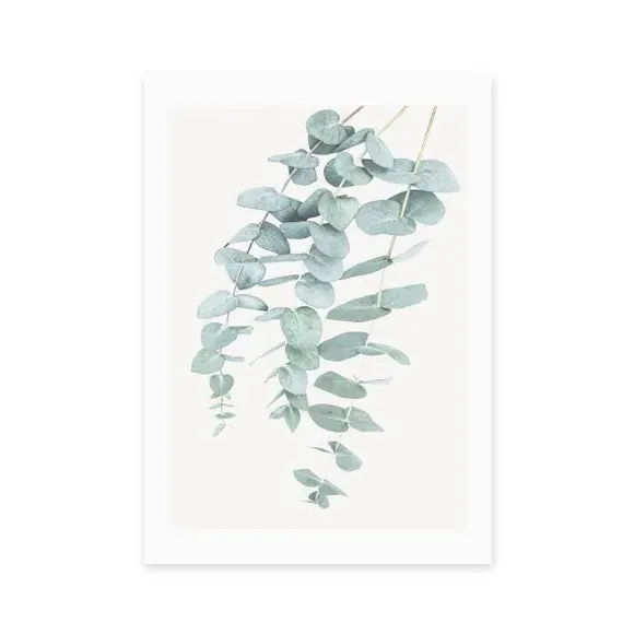 Eucalyptus 2 Wall Print - Green, Paper image