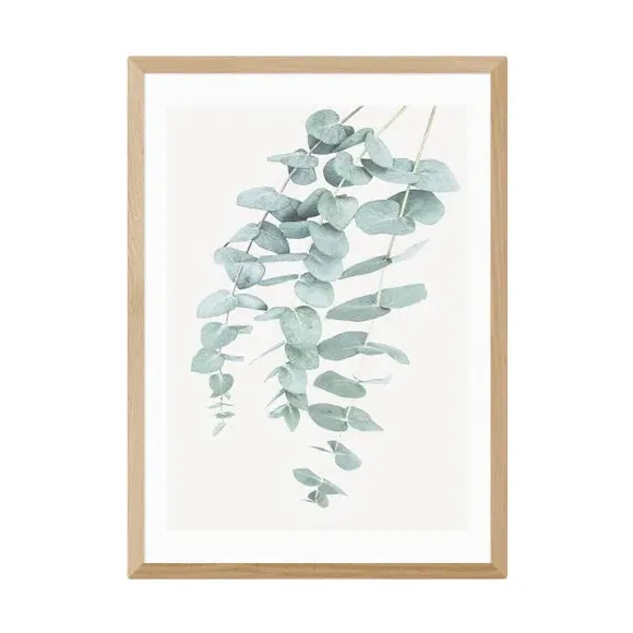 Eucalyptus Wall Print - Green, Paper